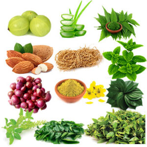 ingredients-photos